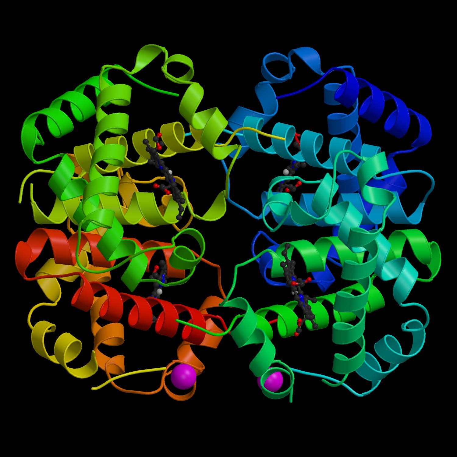 hemoglobin