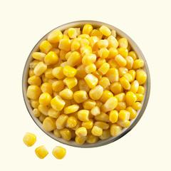 【corn】什么意思_英语corn的翻译_音标_读音_用法