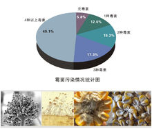 霉菌毒素