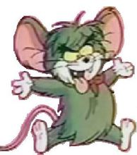 荒野老鼠 荒野老鼠