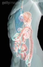 肠原性青紫病 肠原性青紫病